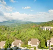Hilton Vacation Club MountainLoft Gatlinburg hotel detail image 3