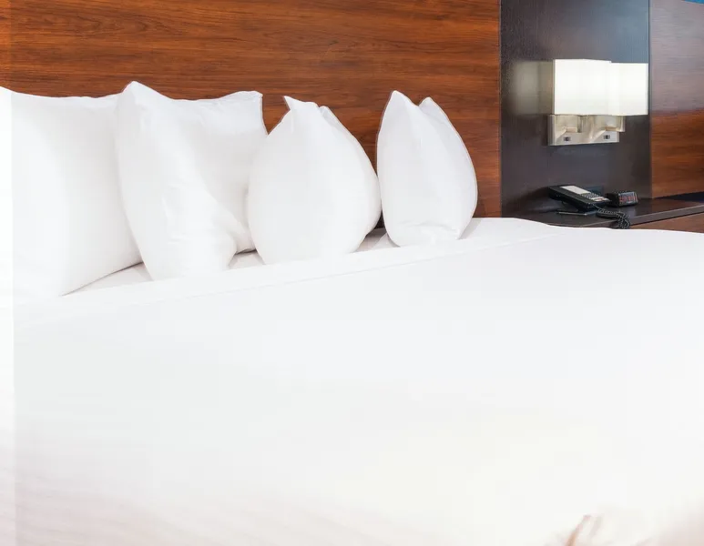 Grand Canyon Hotel and Suites hotel detail image 2
