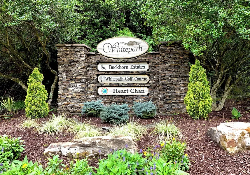 The Ellijay Resort hotel detail image 2