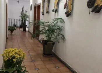 Hotel Integra Tepoztlán hotel thumbnail 2