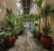 Cholula Condesa Hotel by Lumina hotel detail image 4