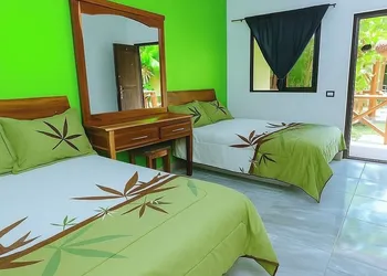Jungla maya hotel hotel thumbnail 2