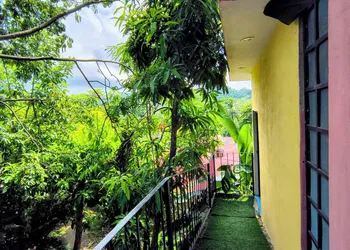 Casa Rosa hotel thumbnail 2