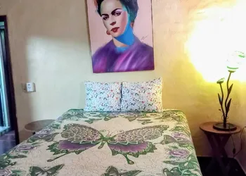 Casa Rosa hotel thumbnail 5