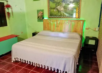 Casa Rosa hotel thumbnail 7