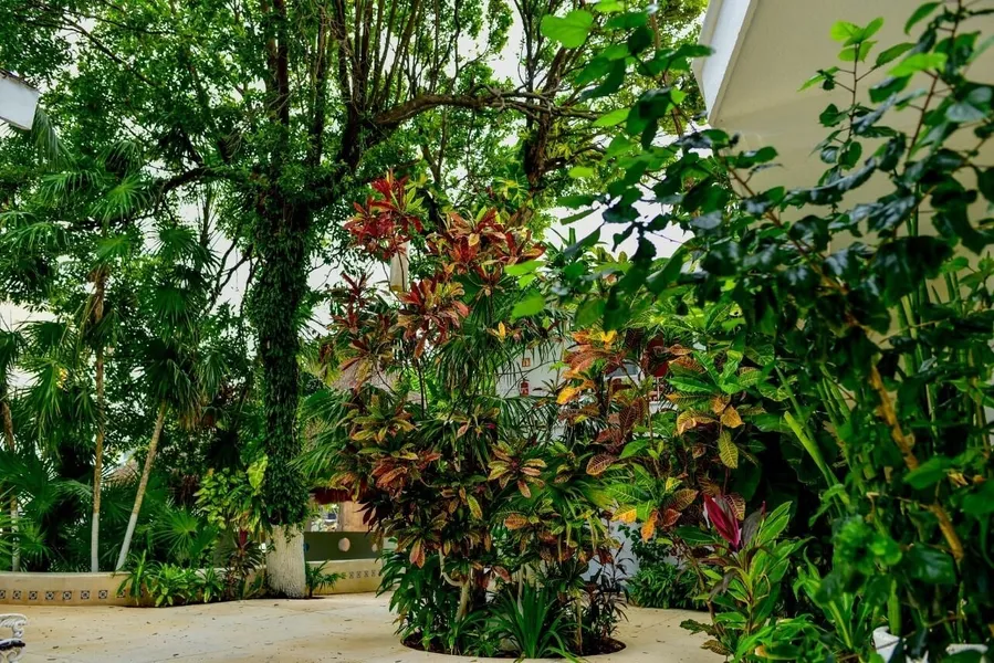 Hotel tropical casa blanca hotel detail image 6