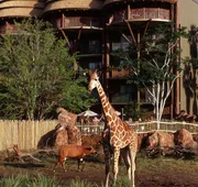 Disney's Animal Kingdom Villas - Jambo House hotel detail image 3