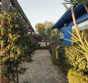 Casa Frida hotel detail image 3