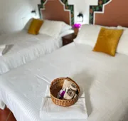 POSADA ALI By OREALTY hotel detail image 7