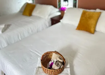 POSADA ALI By OREALTY hotel thumbnail 7