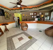 Los Girasoles Hotel hotel detail image 3