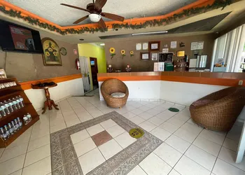 Los Girasoles Hotel hotel thumbnail 3