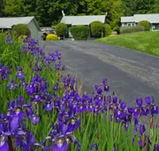 Adirondack Sunrise Motel and Cabins hotel detail image 3