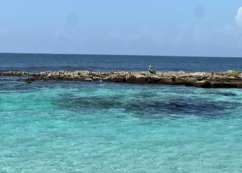 Caleta Tankah hotel thumbnail 5