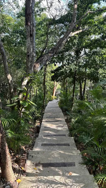 Casa Vive Bacalar hotel detail image 6