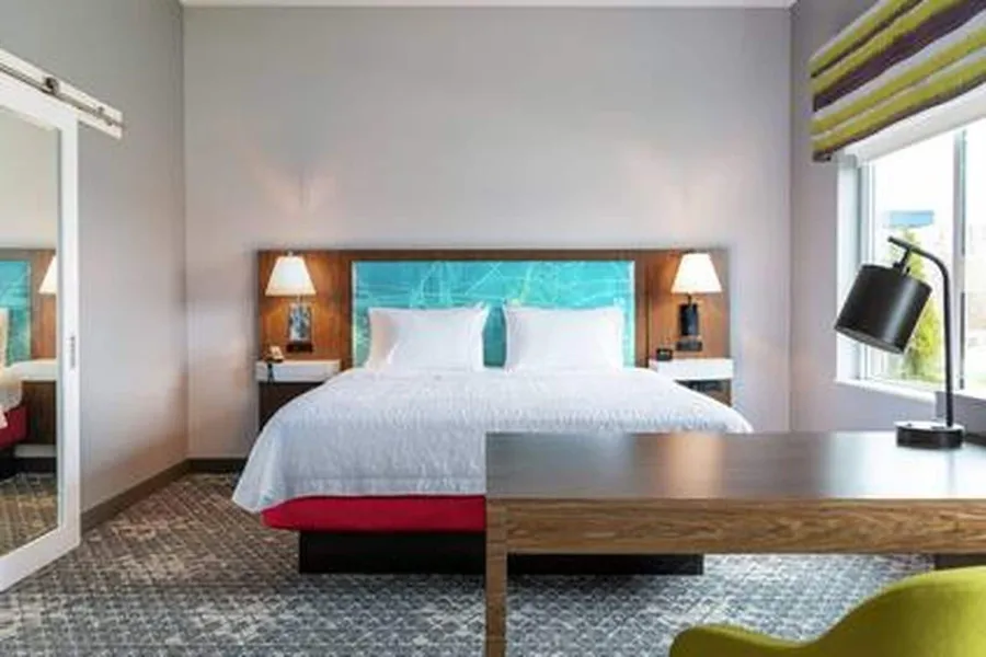 Hampton Inn & Suites By Hilton Irving DFW Airport North hotel detail image 6