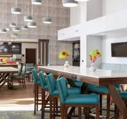 Hampton Inn & Suites By Hilton Irving DFW Airport North hotel detail image 7