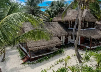 BT Live Tulum located at the party zone hotel thumbnail 2