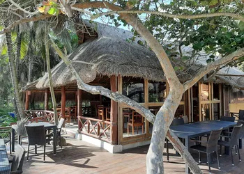 BT Live Tulum located at the party zone hotel thumbnail 6
