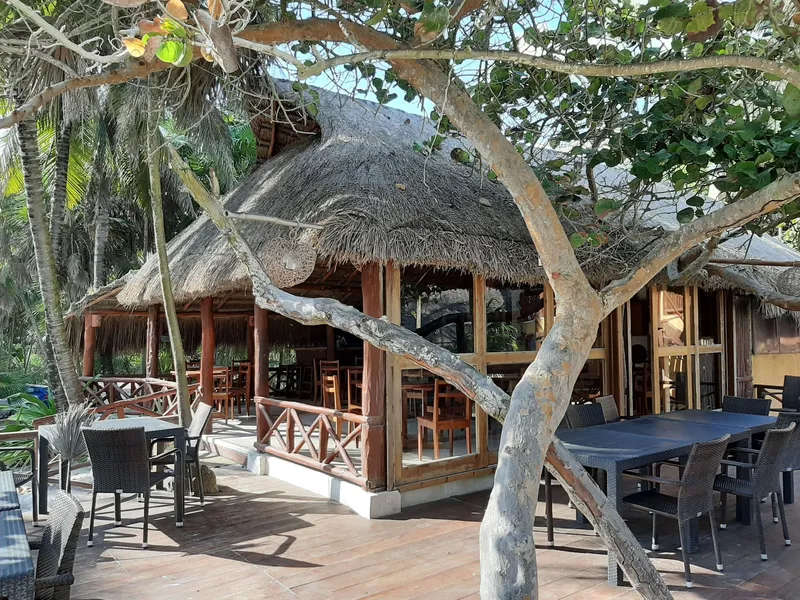 BT Live Tulum located at the party zone hotel detail image 6