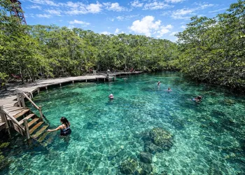 Hotel Selva y Mar hotel thumbnail 3