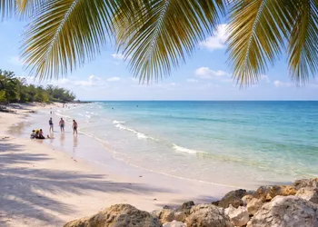 Hotel Selva y Mar hotel thumbnail 4