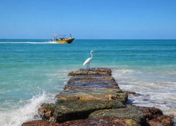 Hotel Selva y Mar hotel thumbnail 6
