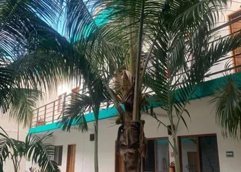 Hotel Centrico Tulum hotel thumbnail 8
