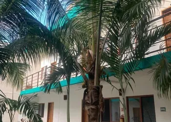 Hotel Centrico Tulum hotel thumbnail 8