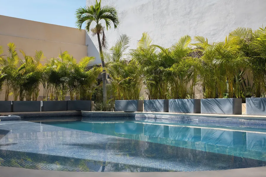 Miranthia Hotel Business and Family hotel detail image 6
