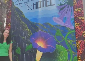 Hotel Raiz de Sierra hotel thumbnail 8