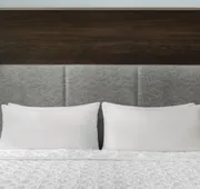 Tru By Hilton Ridgeland Jackson hotel detail image 3