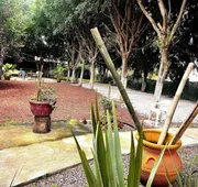 Hotel Paraje Atlixco hotel detail image 4
