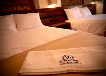Hotel Villa de la Parra hotel thumbnail 3