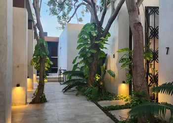 Casa Josefina hotel thumbnail 4