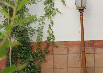 Casa Mestiza hotel thumbnail 5