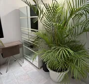 NIDO Hotel hotel detail image 5