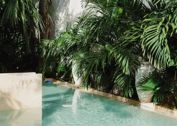 Casa Querida hotel thumbnail 4