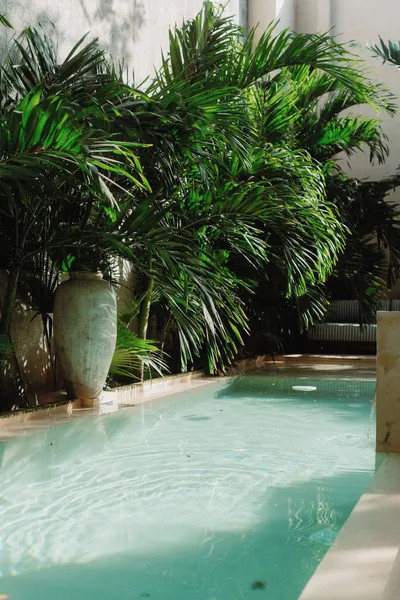 Casa Querida hotel detail image 6