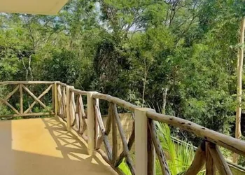 Hotel Ich Ha Tulum - Adults Only hotel thumbnail 4