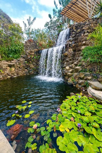 Bambu Villas Wellness Center hotel detail image 6