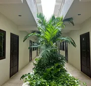 Hotel Lool-Ha Holbox hotel detail image 4