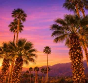 Mod Palm Desert hotel detail image 3