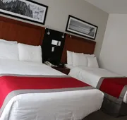 Sheraton Leon hotel detail image 7