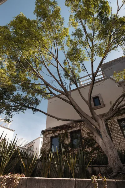 Trobbu Boutique Collection San Miguel de Allende - All Inclusive hotel detail image 2