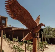 o2 Resort Valle de Guadalupe hotel detail image 3