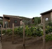 o2 Resort Valle de Guadalupe hotel detail image 4