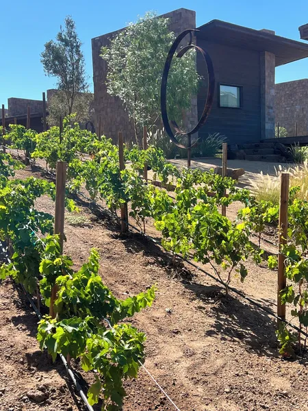 o2 Resort Valle de Guadalupe hotel detail image 6