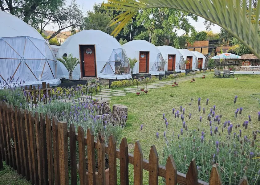 Hotel Glamping Uno hotel detail image 6