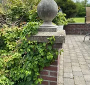 The Ellis Inn hotel detail image 7
